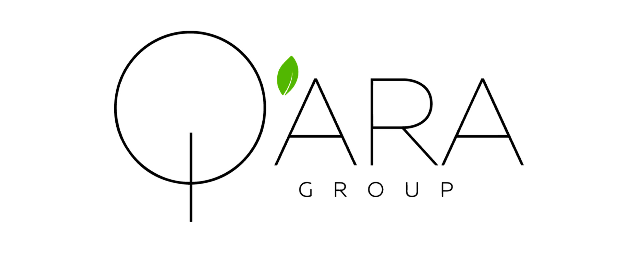 Logo de Q´ara Group