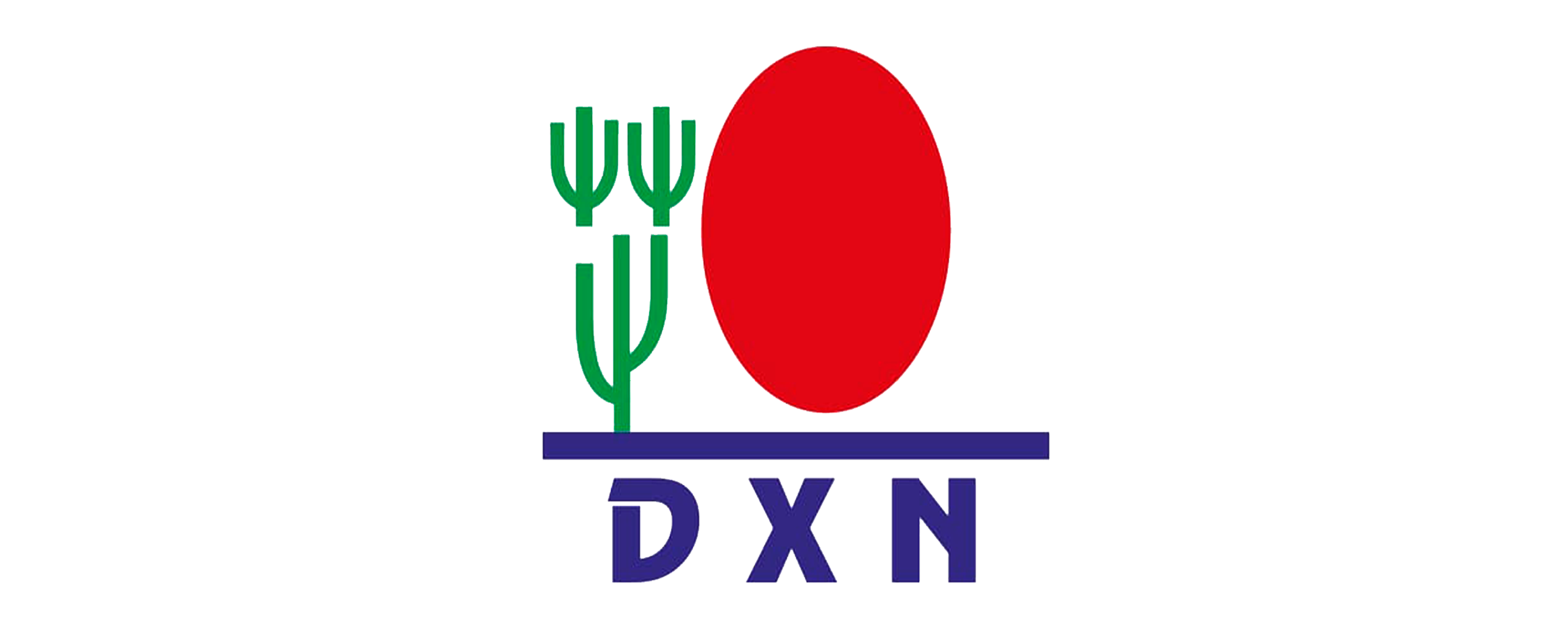 Logo de DXN